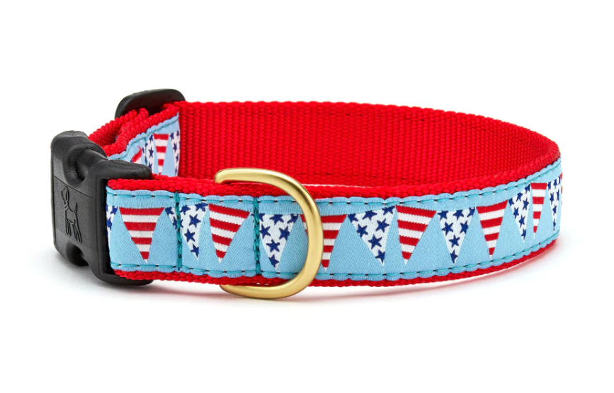 Party in the USA Dog Collar