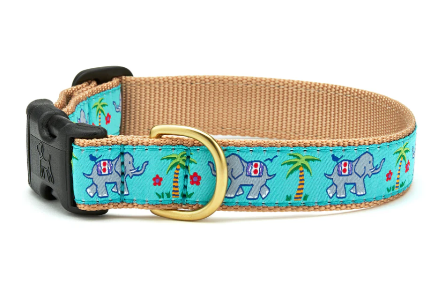 Trunk Show Dog Collar