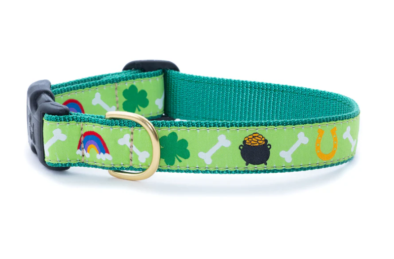 Lucky Charm Dog Collar