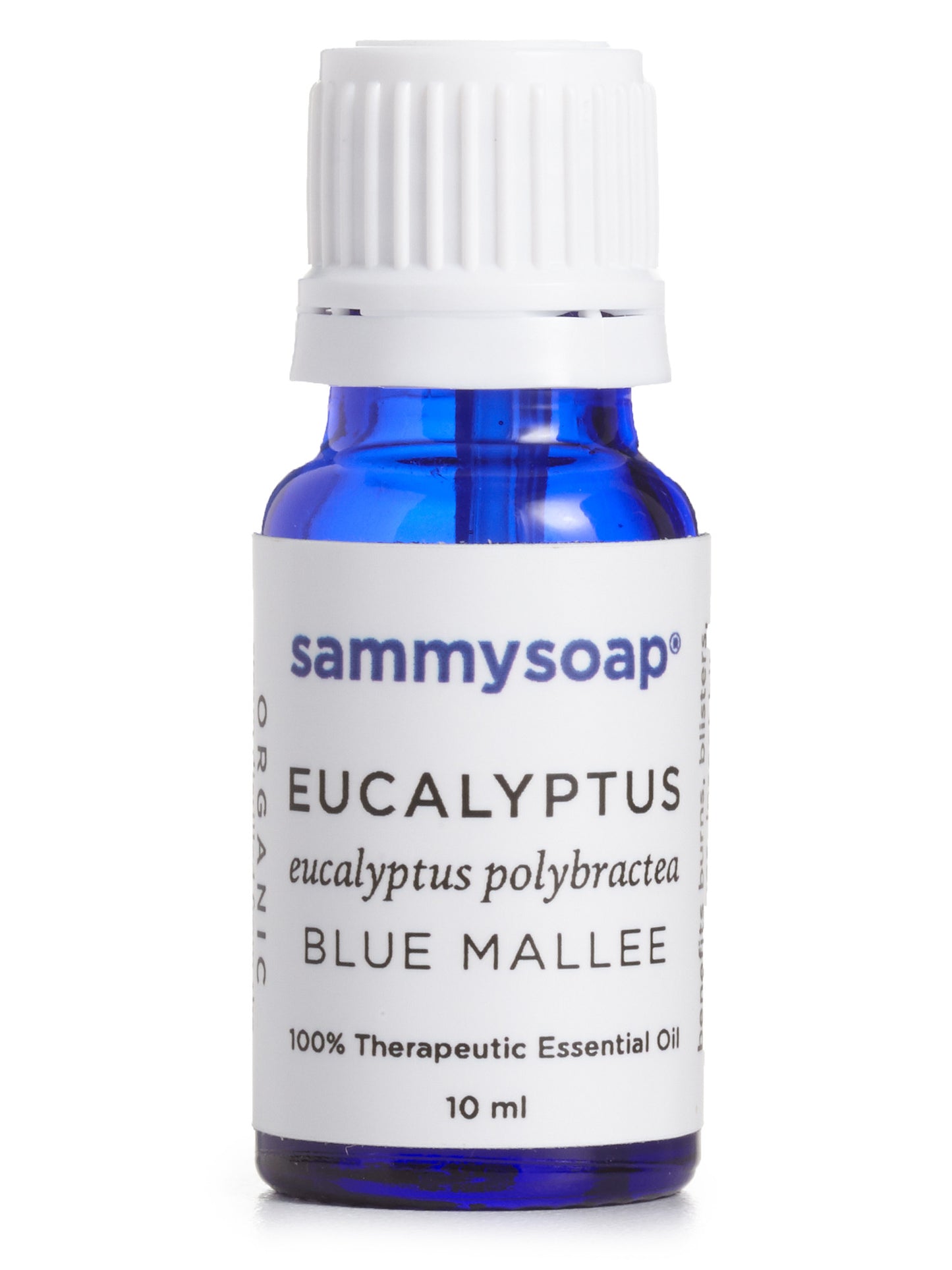 Essential Oil of Eucalyptus Blue Mallee Organic