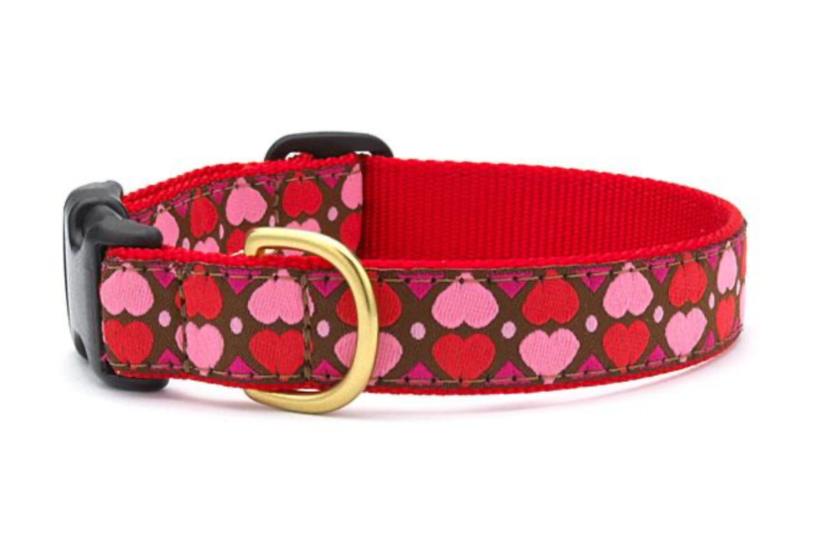 All Hearts Dog Collar