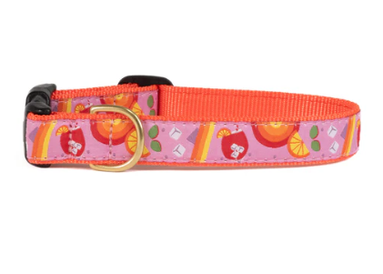 Spritz Dog Collar