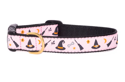 Witchy Dog Collar