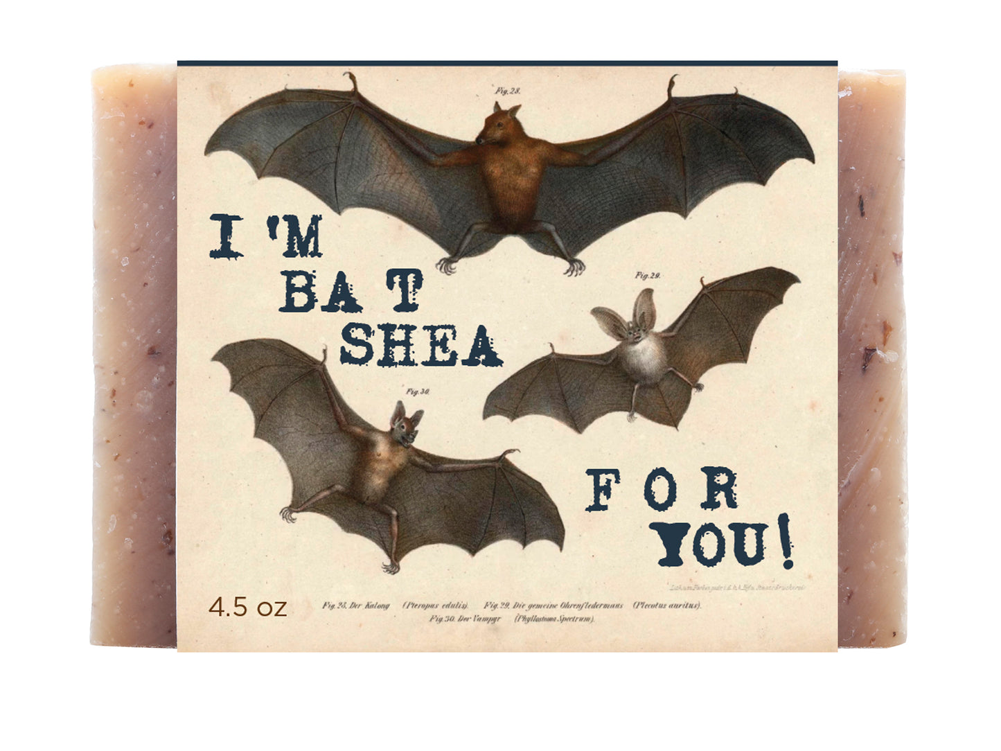 I'm Bat Shea for You!