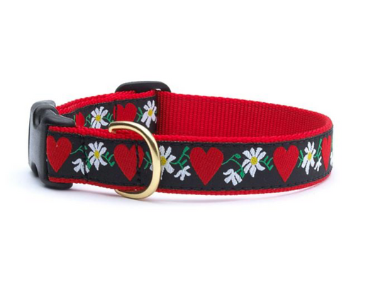 Hearts and Flowers Dog Collar