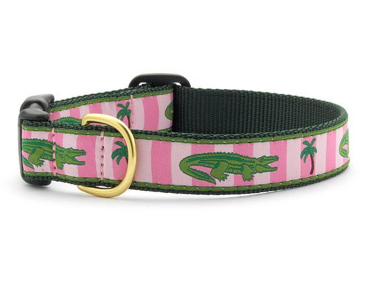 Alligator Dog Collar