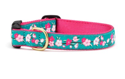 Cherry Blossom Dog Collar