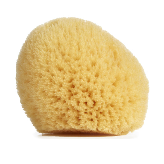 Sponge Cosemetic