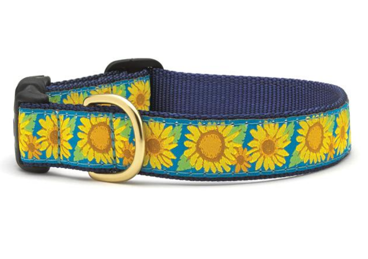 Bright Sunflower Dog Collar